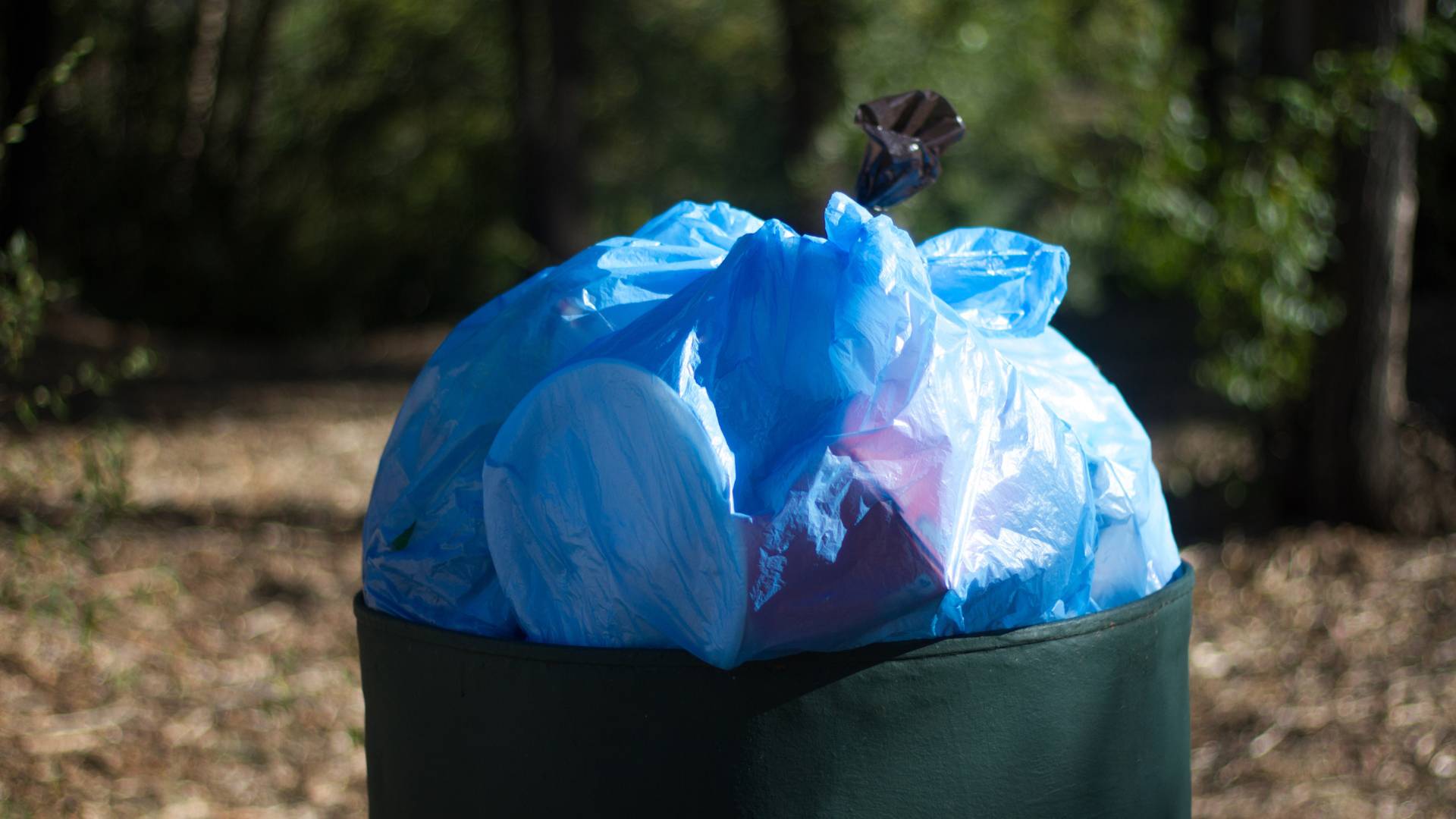 Household waste collection in Nelson Mandela Bay