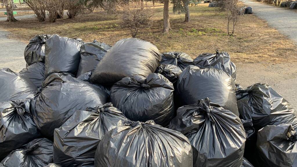 Household waste collection service in Nelson Mandela Bay