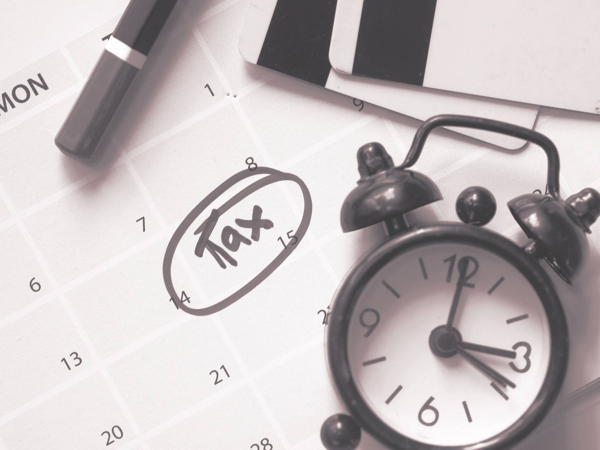 Business Tax Services