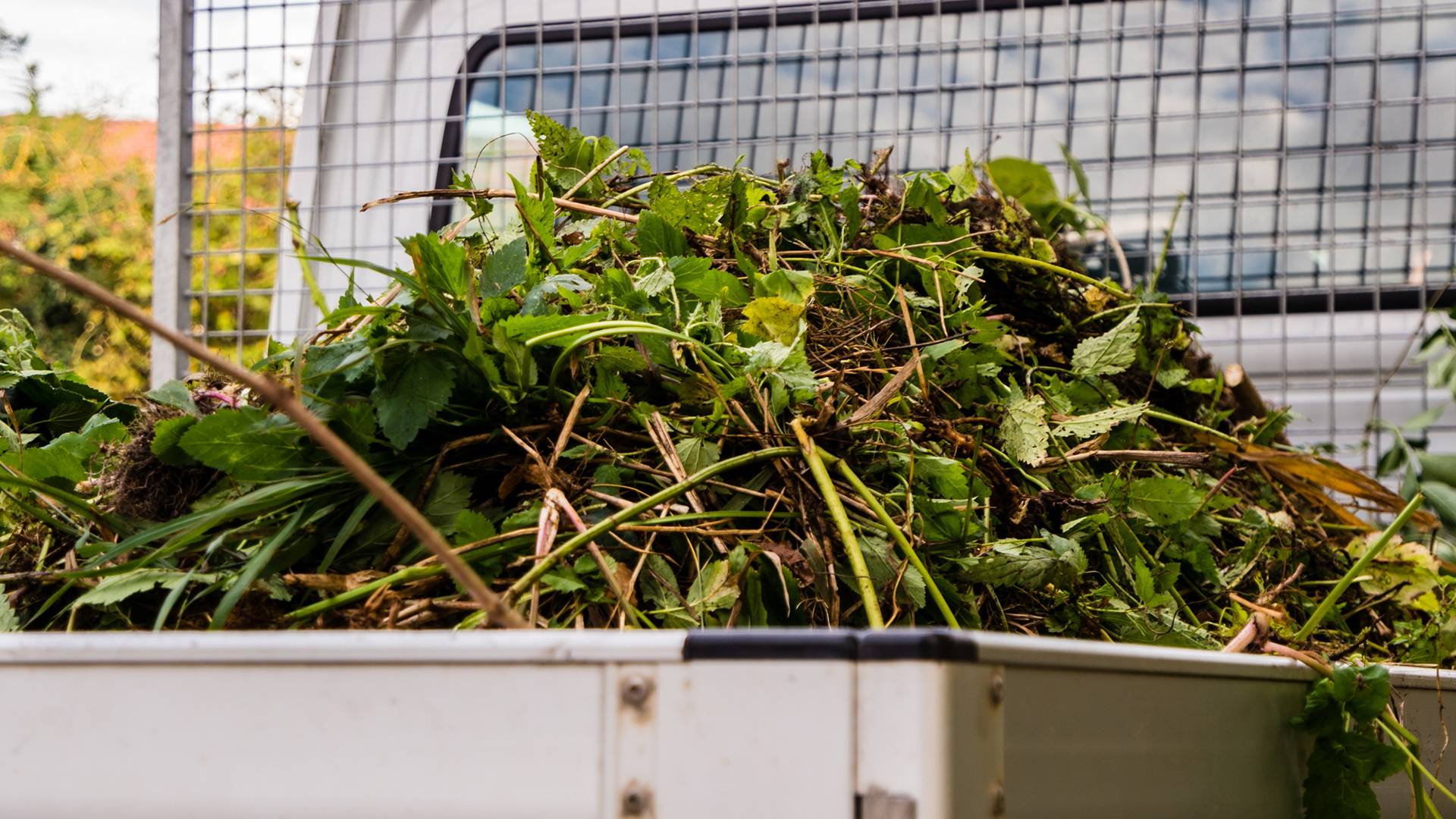 Once-off waste collection service in Nelson Mandela Bay