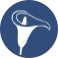 Arumloo Arum Lily design inspiration